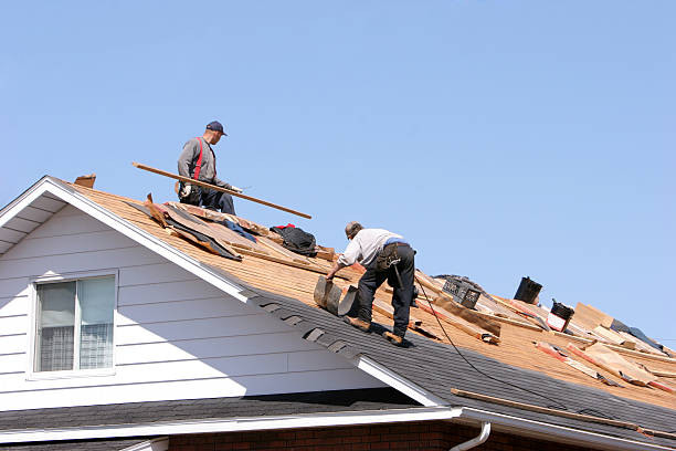 Best Roof Moss and Algae Removal  in St Pete Beach, FL